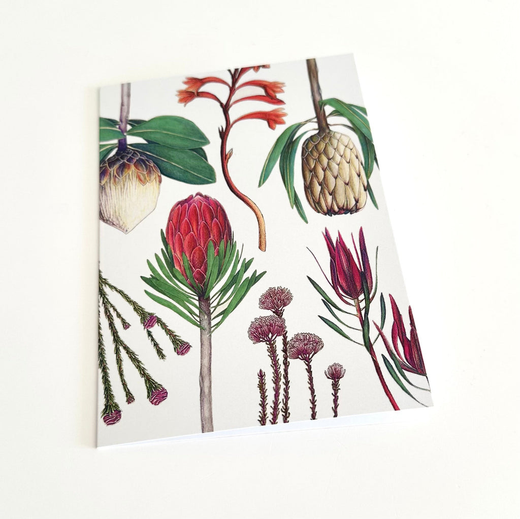A6 greeting card depicting an illustration of various fynbos plants and protea on a white background