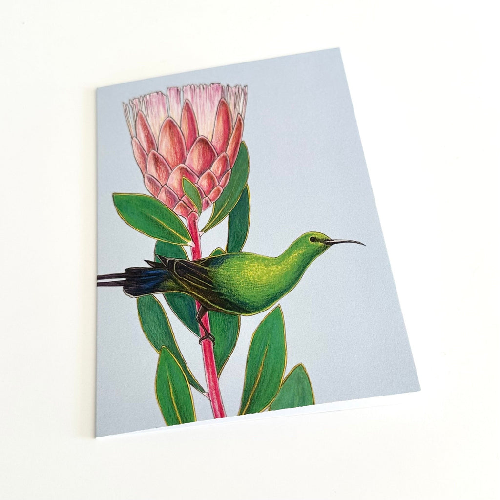 A6 greeting card with a malachite sunbird and protea flower on a blue background
