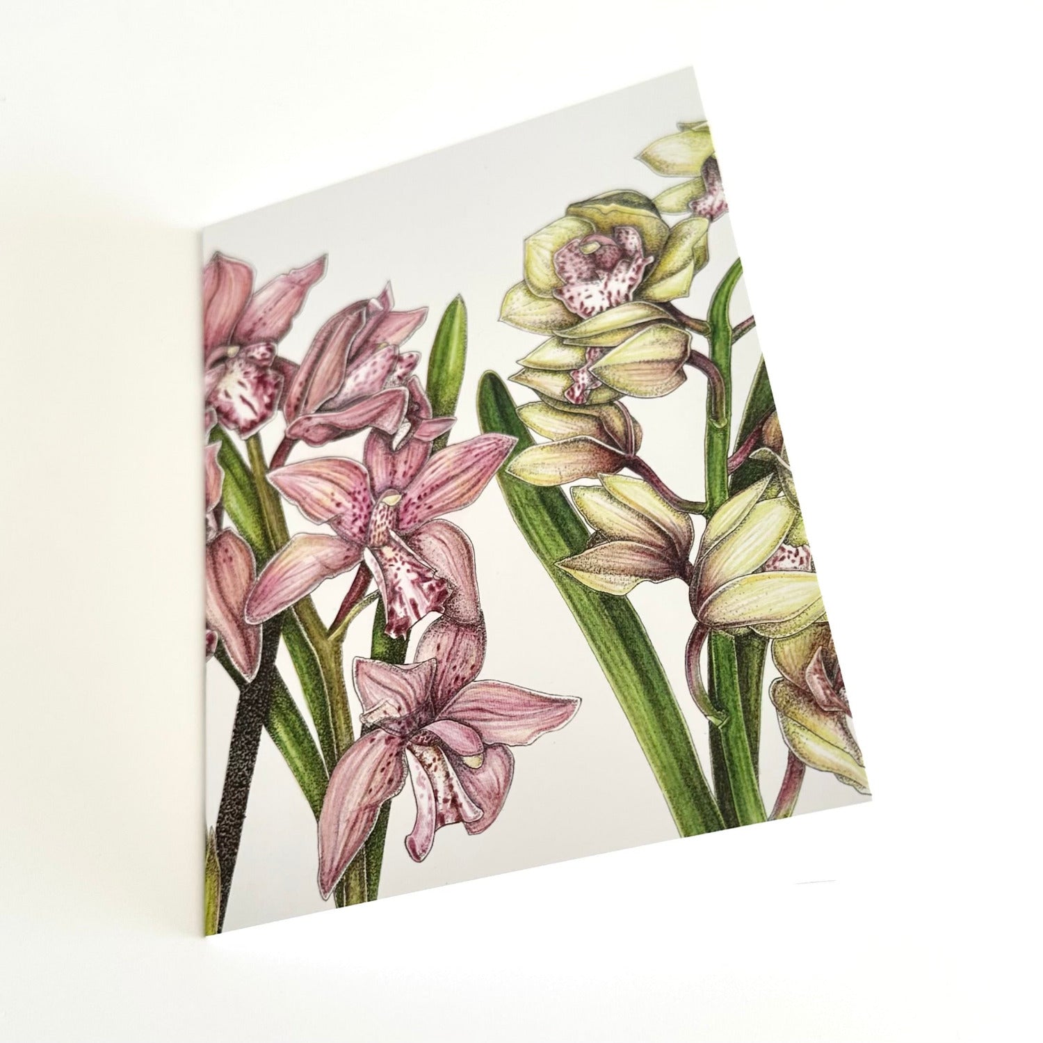 A6 greeting card with pink and green orchid design on a white background
