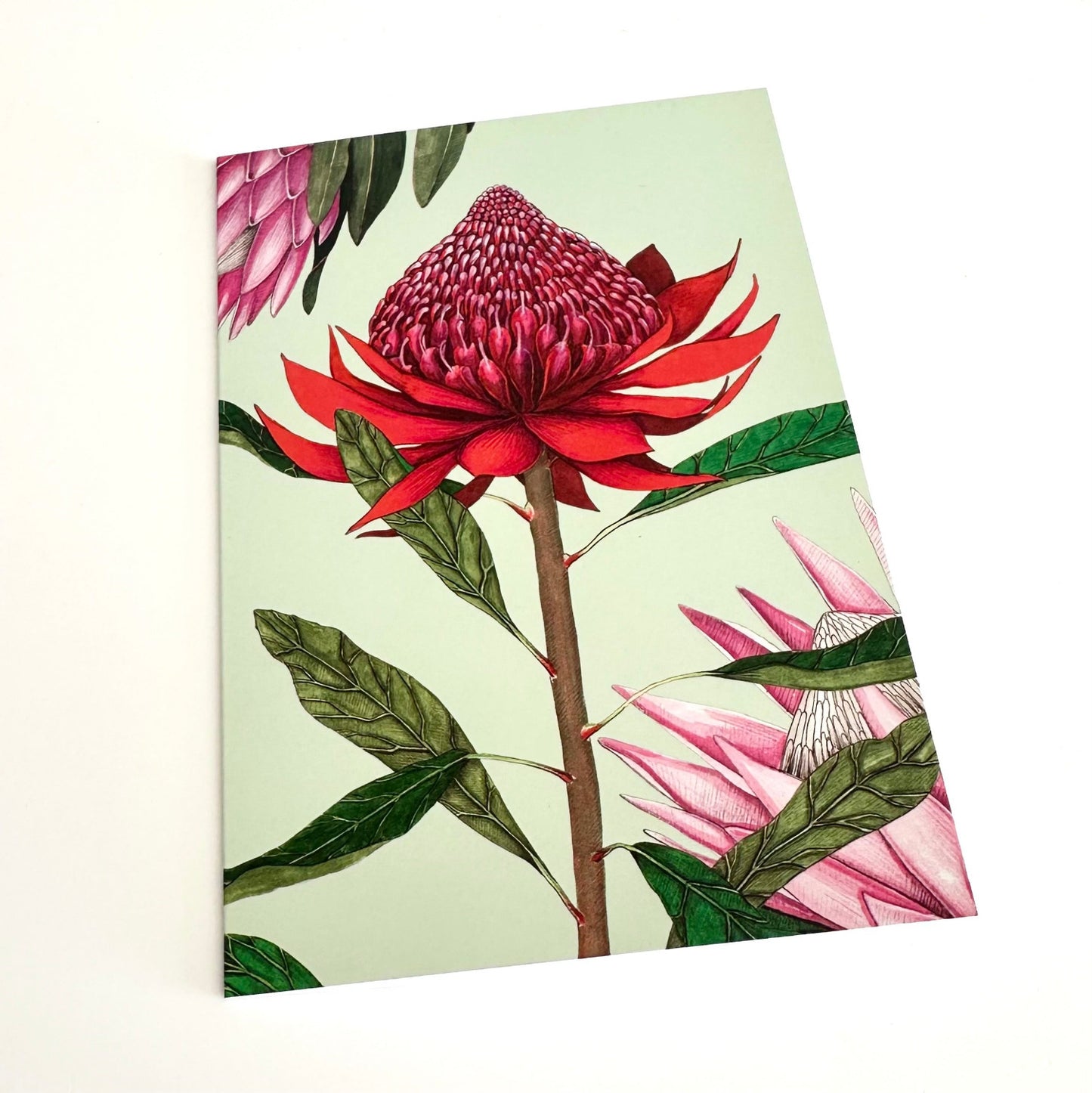 Floral design with red and pink flowers on a light green background