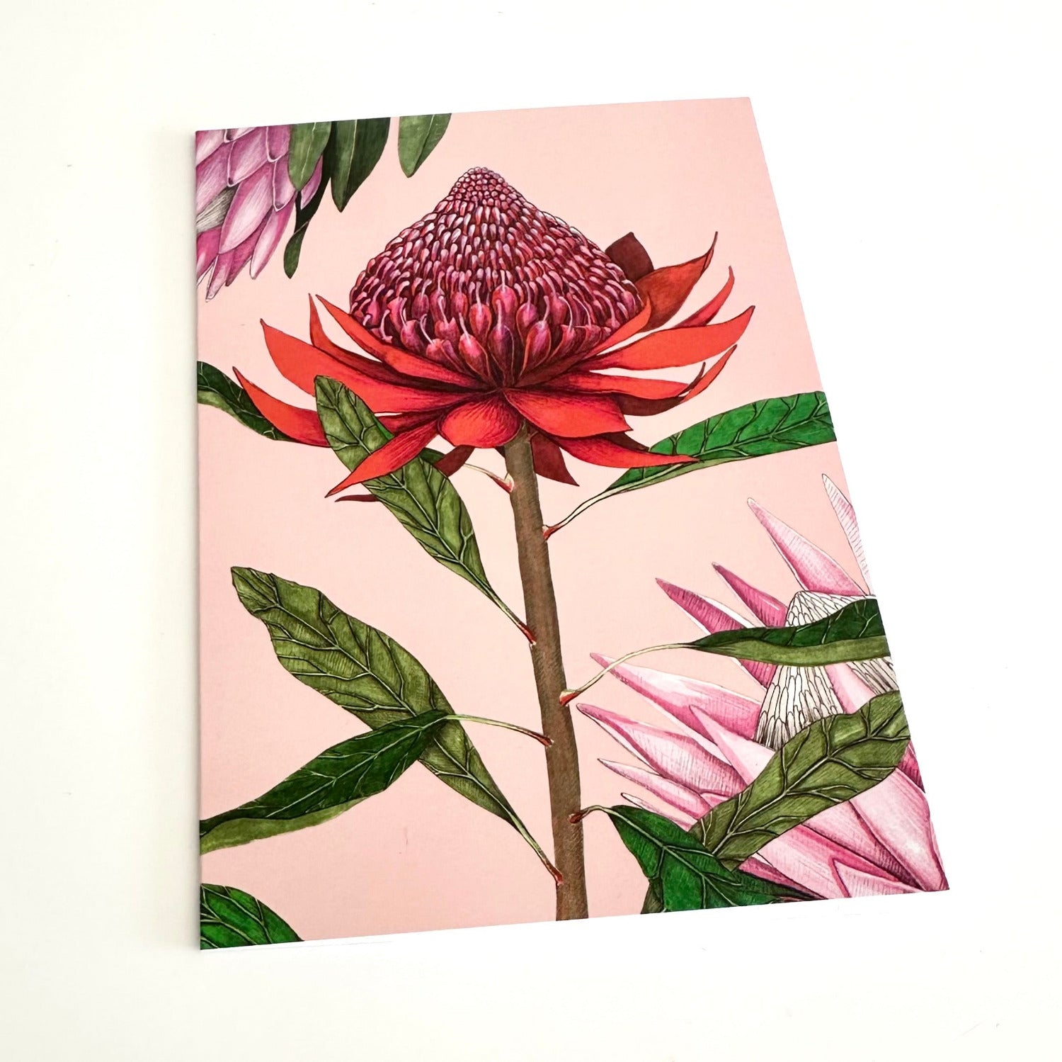 Floral design with red and pink flowers on a pink background