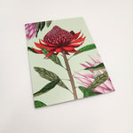 Load image into Gallery viewer, A6 greeting card - Pastel Waratah
