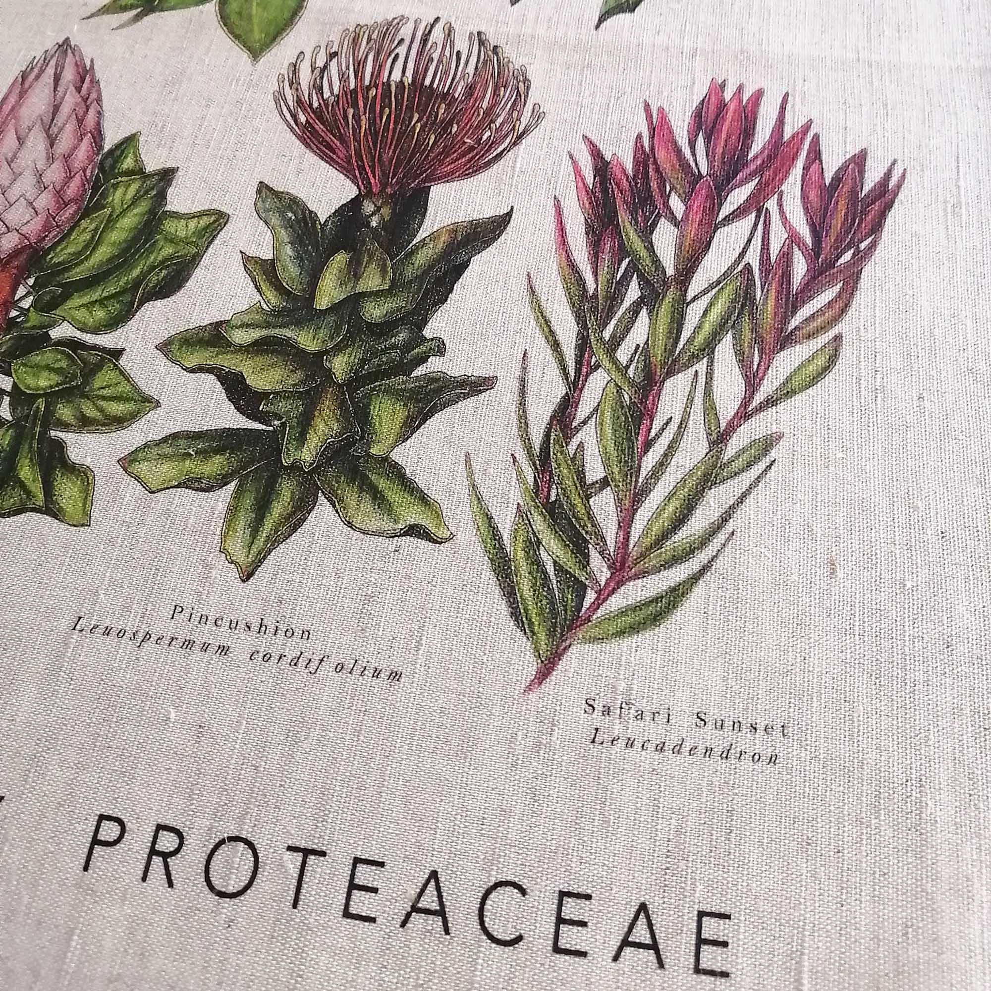 100% linen tea towel - Family Proteaceae