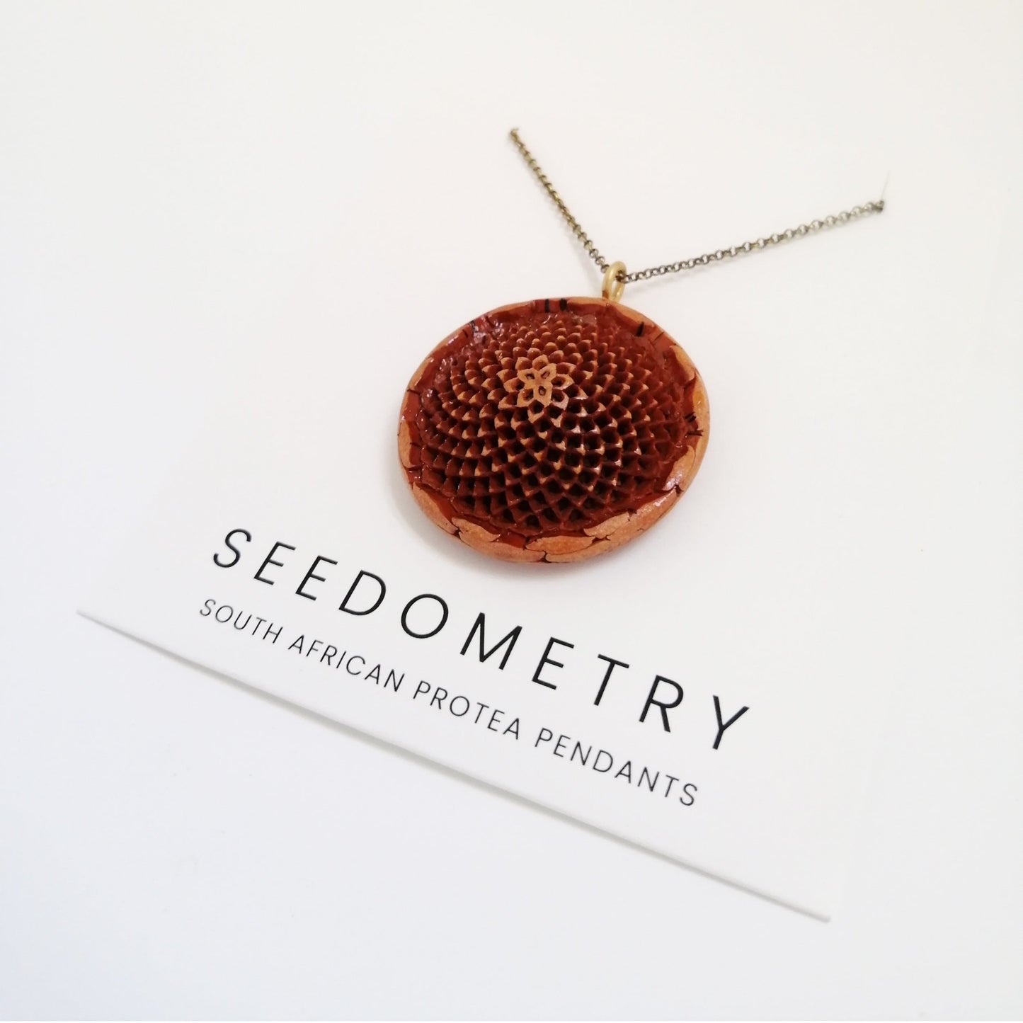 A protea seed pendant on a brass necklace chain displayed on a white card with the title 'SEEDOMETRY' at the base