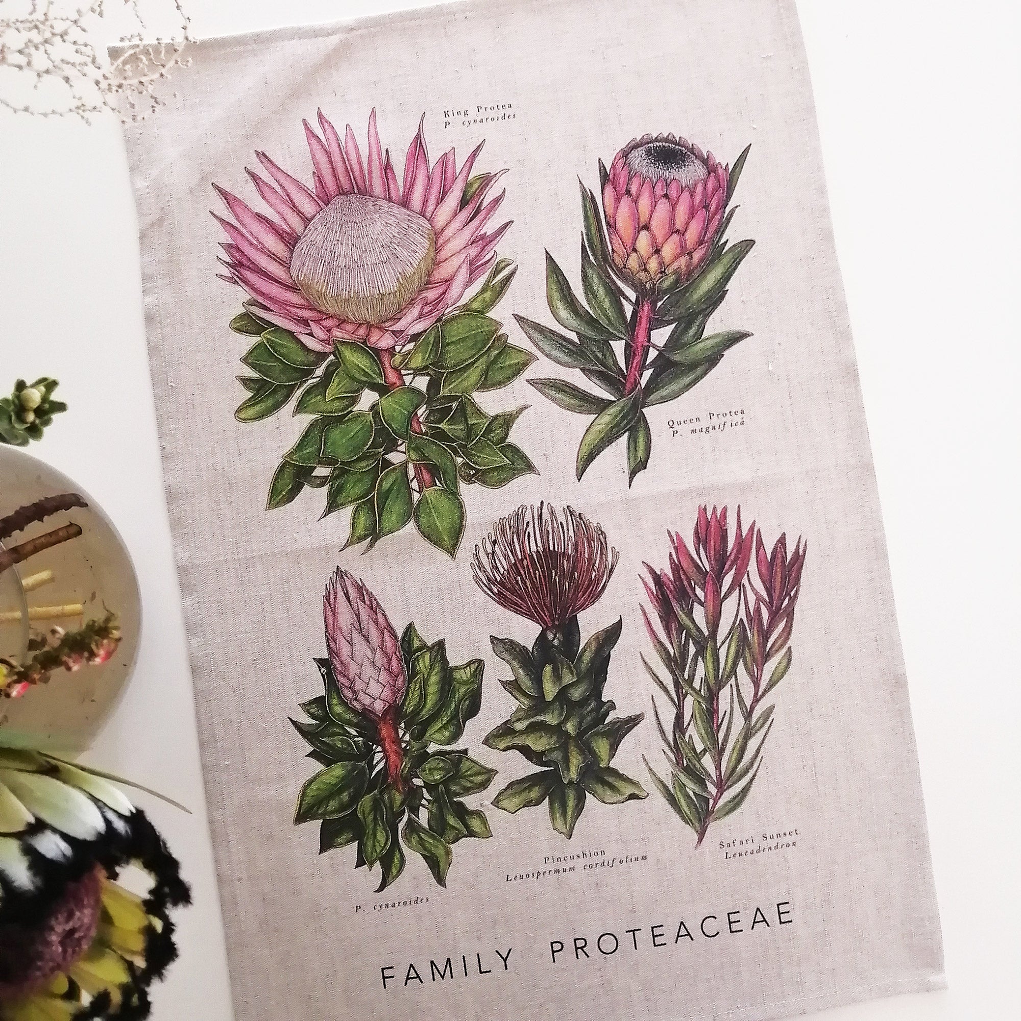 100% linen tea towel - Family Proteaceae