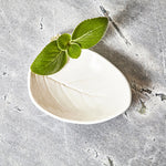 Load image into Gallery viewer, A white ceramic soap dish in the shape of a leaf with veins and other details embedded. 

