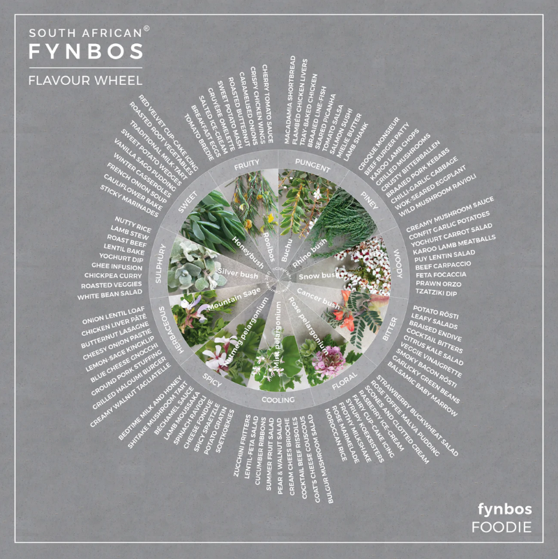 A wheel depicting a variety of dishes that can be paired with the South African Fynbos culinary grinders.